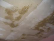project 'Scrapped popcorn ceiling' before picture #3